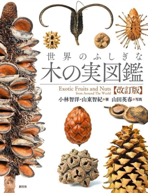 エドワード・バッチ 魂の植物 バッチの花療法への新しい洞察 中古本
