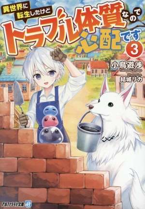 異世界に転生したけどトラブル体質なので心配です(3) アルファライト文庫