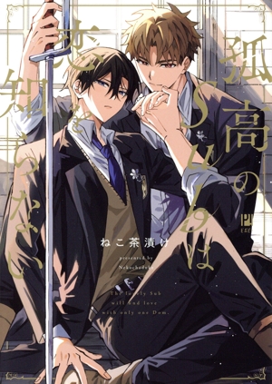 孤高のSubは恋を知らない ビボピーC