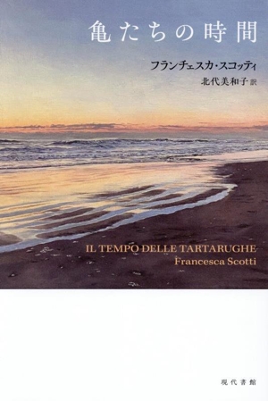 亀たちの時間