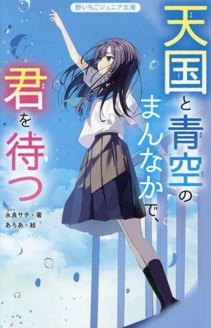 天国と青空のまんなかで、君を待つ 野いちごジュニア文庫