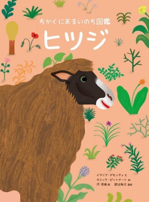 ちかくにあるいのち図鑑 ヒツジ