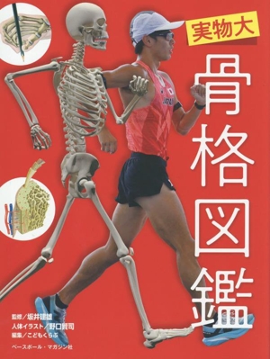 実物大 骨格図鑑