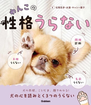 わんこの性格うらない