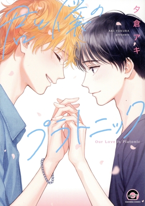 君と僕のプラトニック GUSH C