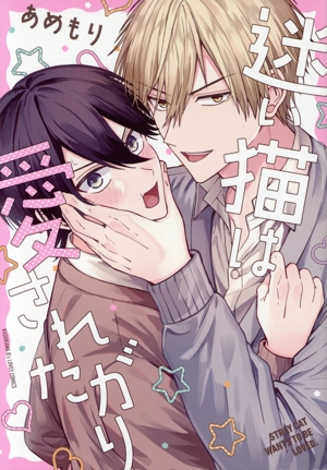 迷い猫は愛されたがり B's LOVEY C