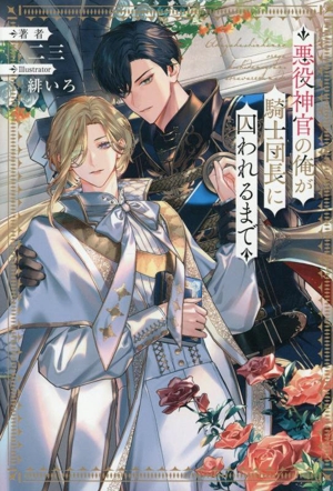悪役神官の俺が騎士団長に囚われるまで アンダルシュノベルズ