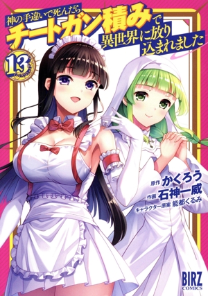 神の手違いで死んだらチートガン積みで異世界に放り込まれました(13) バーズC