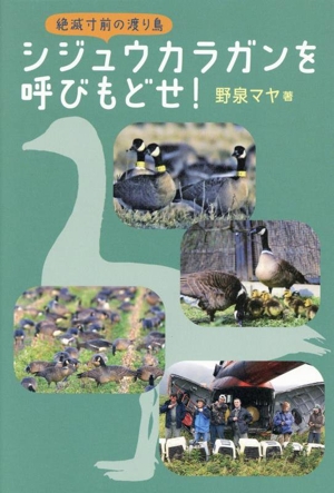 絶滅寸前の渡り鳥 シジュウカラガンを呼びもどせ！