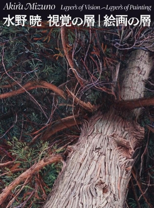 水野暁 視覚の層 絵画の層