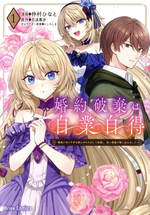 婚約破棄は自業自得(1) 裏表がありすぎる妹はボロを出して自滅し、私に幸運が舞い込みました ブリーゼC