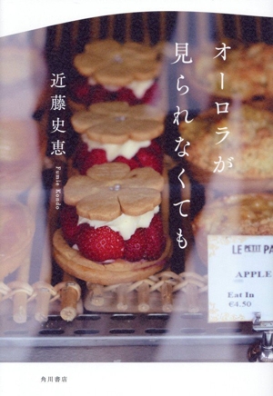 オーロラが見られなくても