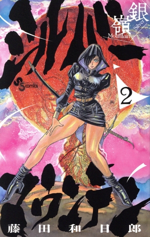 シルバーマウンテン(2) サンデーC