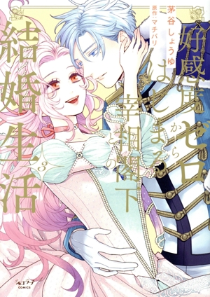好感度ゼロからはじまる宰相閣下との結婚生活(3) ショコラブC