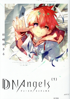 DDNAngels(1) あすかCDX