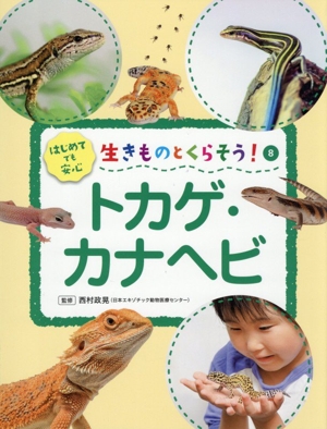 生きものとくらそう！ トカゲ・カナヘビ(8) はじめてでも安心
