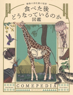 食べた後 どうなっているのか図鑑 動物の消化器の秘密