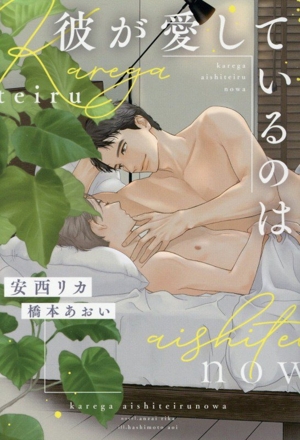 彼が愛しているのは ディアプラス文庫
