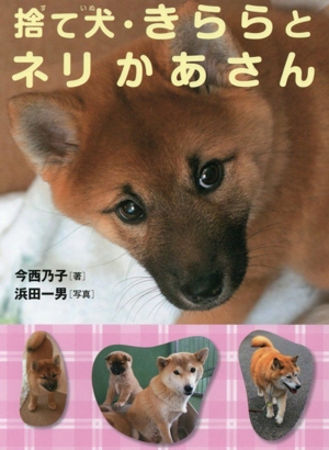 捨て犬・きららとネリかあさん
