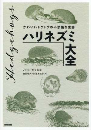 ハリネズミ大全 かわいいトゲトゲの不思議な生態 中古本・書籍