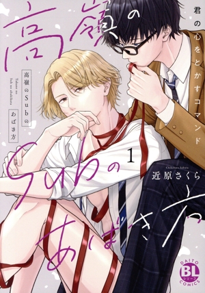 高嶺のSubのあばき方(1) 君の心をとかすコマンド Daito C