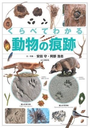 星野道夫の仕事　全4巻セット　段ボールカバー付 星野道夫 永遠のまなざし 中古本・書籍 | ブックオフ公式オンラインストア