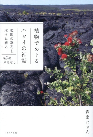 愛しのレイ ナー・レイ・マカマエ 中古本・書籍 | ブックオフ公式