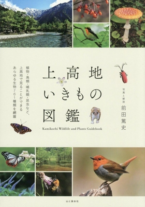 0020896451LL.jpg