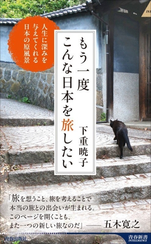 もう一度こんな日本を旅したい 人生に深みを与えてくれる日本の原風景 青春新書インテリジェンス
