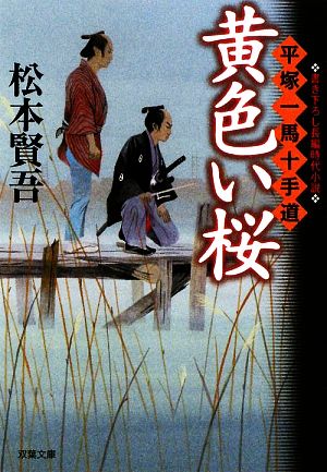 【書籍】平塚一馬十手道(文庫版)セット