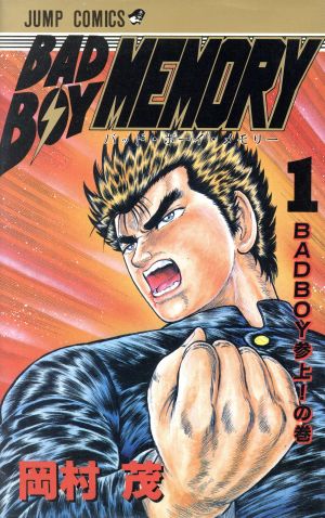 【コミック】BAD BOY MEMORY(全10巻)セット