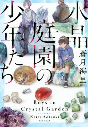 【書籍】水晶庭園の少年たち(文庫版)セット