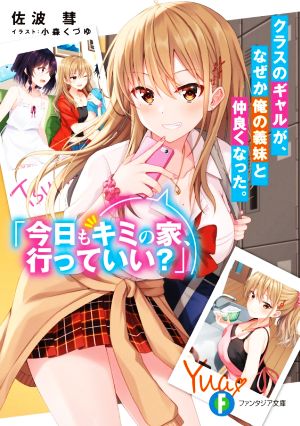 【書籍】クラスのギャルが、なぜか俺の義妹と仲良くなった。(文庫版)セット